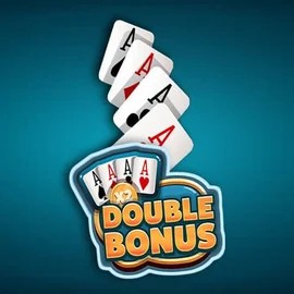 Double Double Bonus – slot by Red Rake Gaming, featured at vipzinoscasino.com