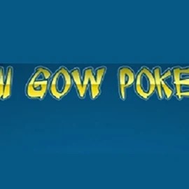 Try Pai Gow Poker slot by Rival on vipzinoscasino.com – logo image